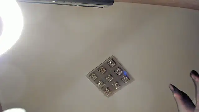 Diamond_D_ live sex cam