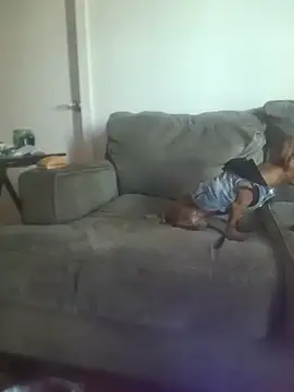 yourmasterisbored (Ask my age) - #american #bisexuals #brunettes #cam2cam #cei #chastity #cheap-privates #daddies #deepthroat #dirty-talk #flexing #humiliation #medium #mobile #new #recordable-publics #sexting #sph #white