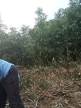 nangmo - Nangmo's free webcam