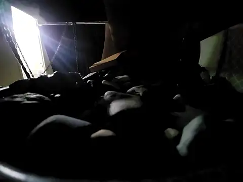 Preview of bi_curious86