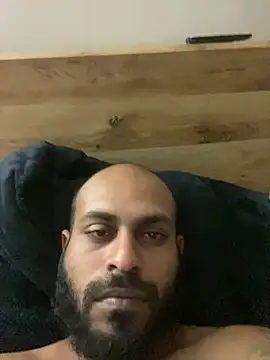 Preview of islandvybee55