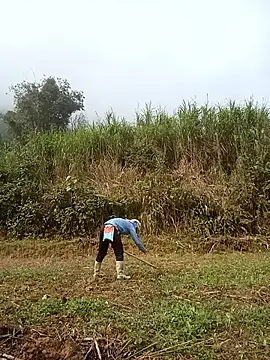 nangmo - Nangmo's free webcam - UK Sex Cams