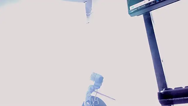 Live sex cam of choco_dick_