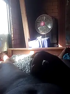 bullboy99 - Bullboy99's free webcam - UK Sex Cams