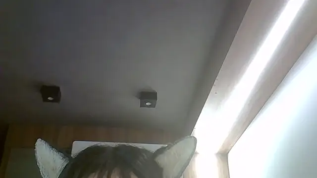 Preview of skinnykitten