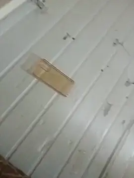 frotasso (Ask my age) - 276