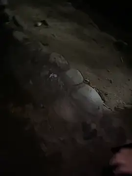 Datoka_adrenaline webcam