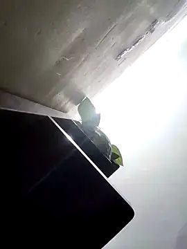 yamini1431 (Ask my age) - #affordable-cam2cam #black-hair #cam2cam #cheapest-privates #cheapest-privates-indian #cooking #cosplay #glamour #hd #indian #medium #mobile #role-play #small-audience