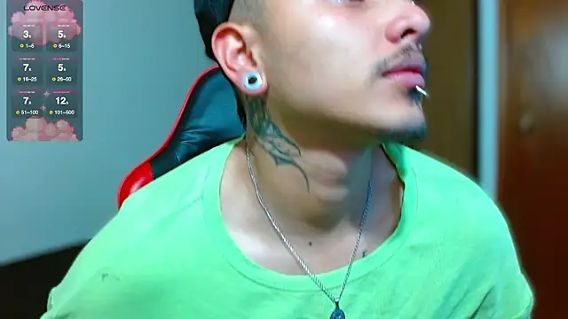 Hgp3riodictabl3 webcam