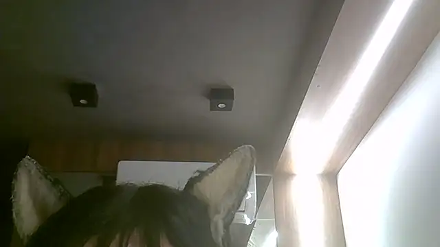 Afbeelding van SkinnyKitten