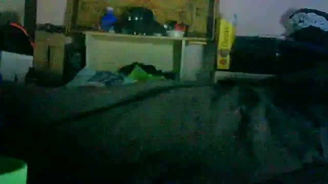 GUAPAN3S3_FIR3 webcam