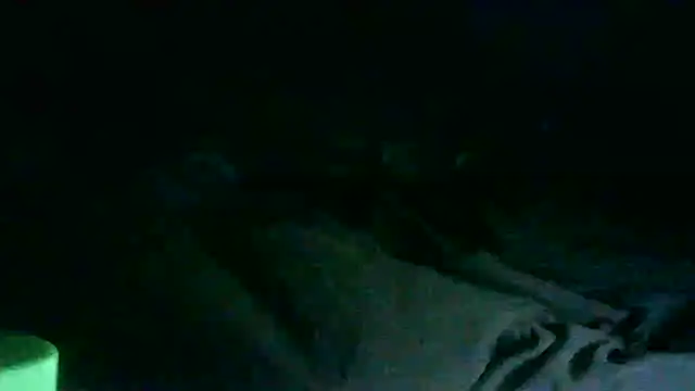 GUAPAN3S3_FIR3 webcam