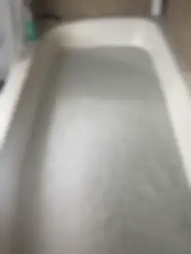 queenkelly1234 webcam