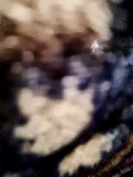 crazyxy12 - Crazyxy12's free webcam - UK Sex Cams