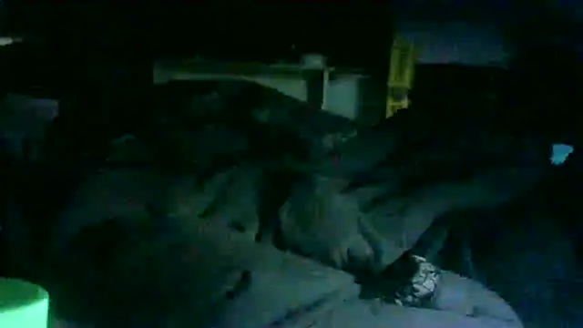 GUAPAN3S3_FIR3 webcam