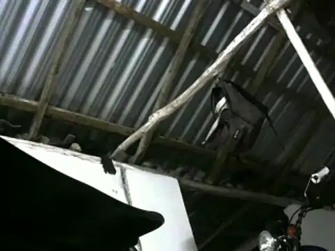 michel_sc (M young) - fuck me daddy