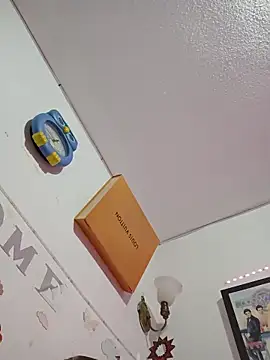 Webcam Model (pinklajokr) is live