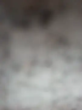 shreya_pandit - Shreya_pandit's free webcam