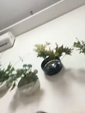 美女zhhmm在线直播