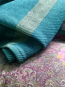 villageanuty (F milf) - Ticket Show