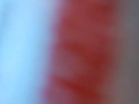 Necroforo live sex cam