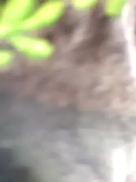 Webcam Model (Saishaa)  is live.Free join now!