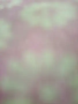 Webcam Model (Nandani-758) is live