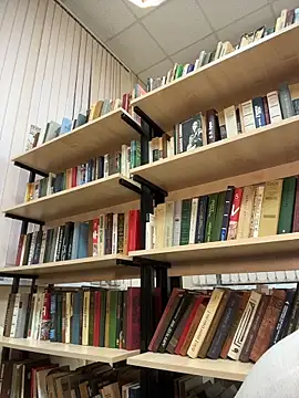 Liza_risky's live cam