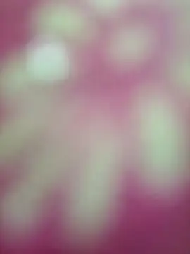 Live sex cam of Nandani-758