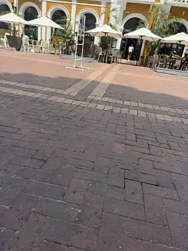 bigdick211292 webcam