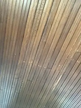 Webcam Model (Morgana_Pink)  is live.Free join now!