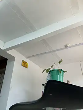 paul22cm- (Ask my age) - slide my cock out