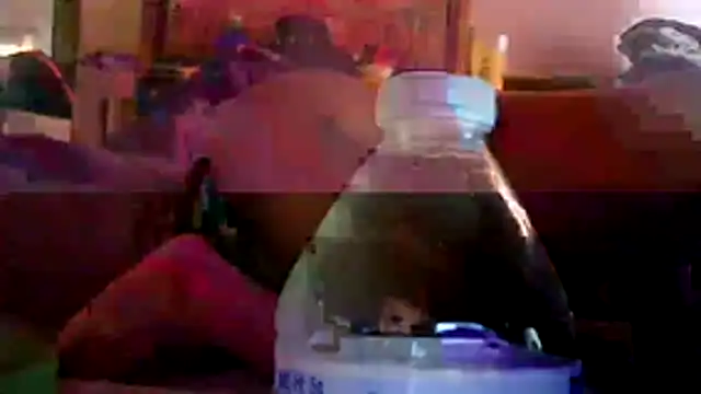 GUAPAN3S3_FIR3 webcam