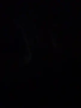 Mindnorthcam2 live sex cam