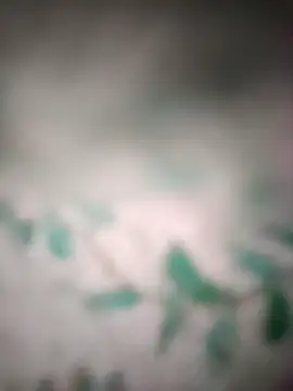 king_night1 (Ask my age) - Dick show