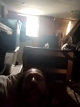 Preview of aceticpinscher