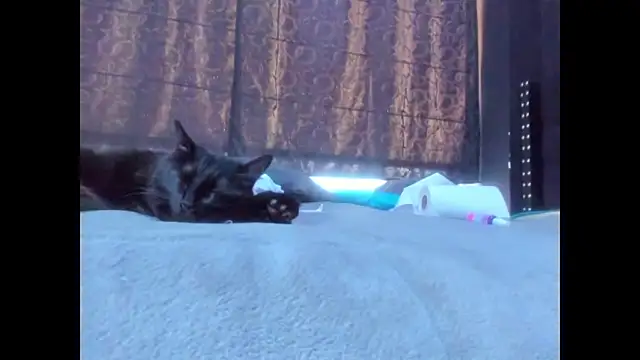 amareto_queen - Amareto_queen's free webcam - UK Sex Cams