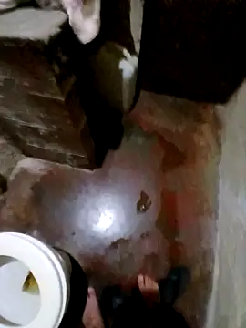 alee28728 (M twink) - Corrida