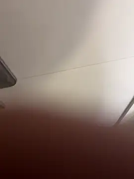 Dimitri_Bass's live cam