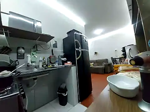 Preview of gasc_1992