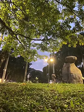 RojitasTeaseX_ webcam