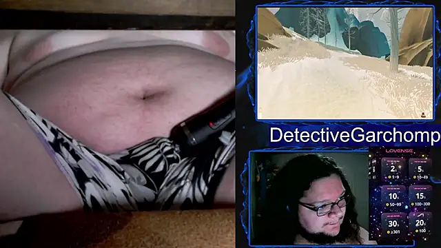 Preview of detchompy