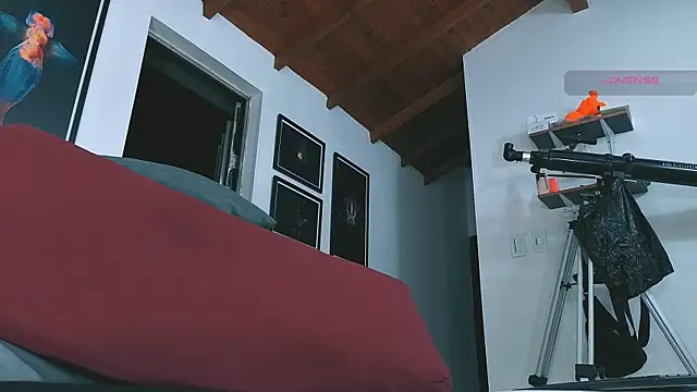 SilvaBranko live sex cam