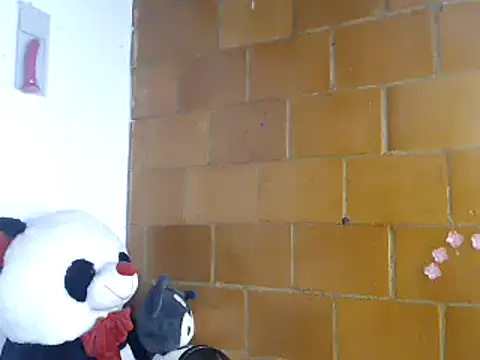 sophiadaza666 - Sophiadaza666's free webcam - UK Sex Cams