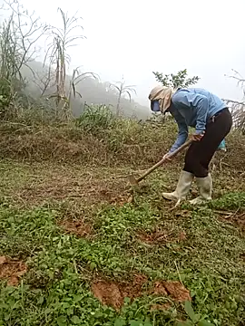 nangmo - Nangmo's free webcam - UK Sex Cams