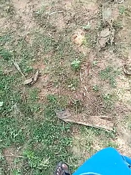 dolphiinn (M young) - 🦚 🐐 🦚 🐐 Outdoor Naked 🦚🐐🐐🦚🐐🐐✨