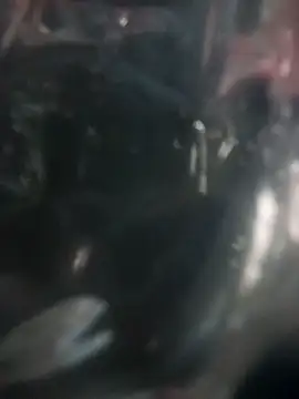 Preview of choocoolate