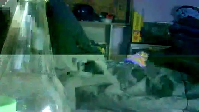 GUAPAN3S3_FIR3 webcam