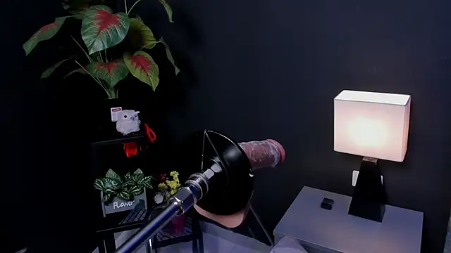 amy_whittee - Amy_whittee's free webcam - UK Sex Cams