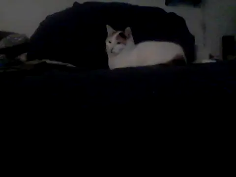 Preview of silencio26